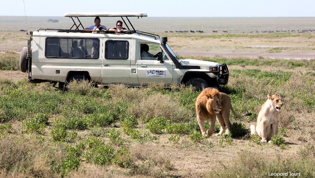 Leopard Tours Vehicle